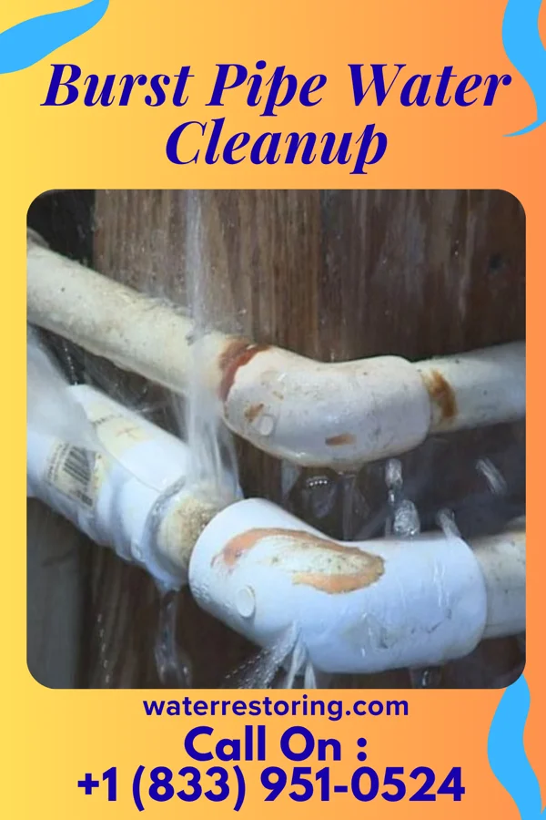 Burst Pipe Water Cleanup in Pea Ridge, AR